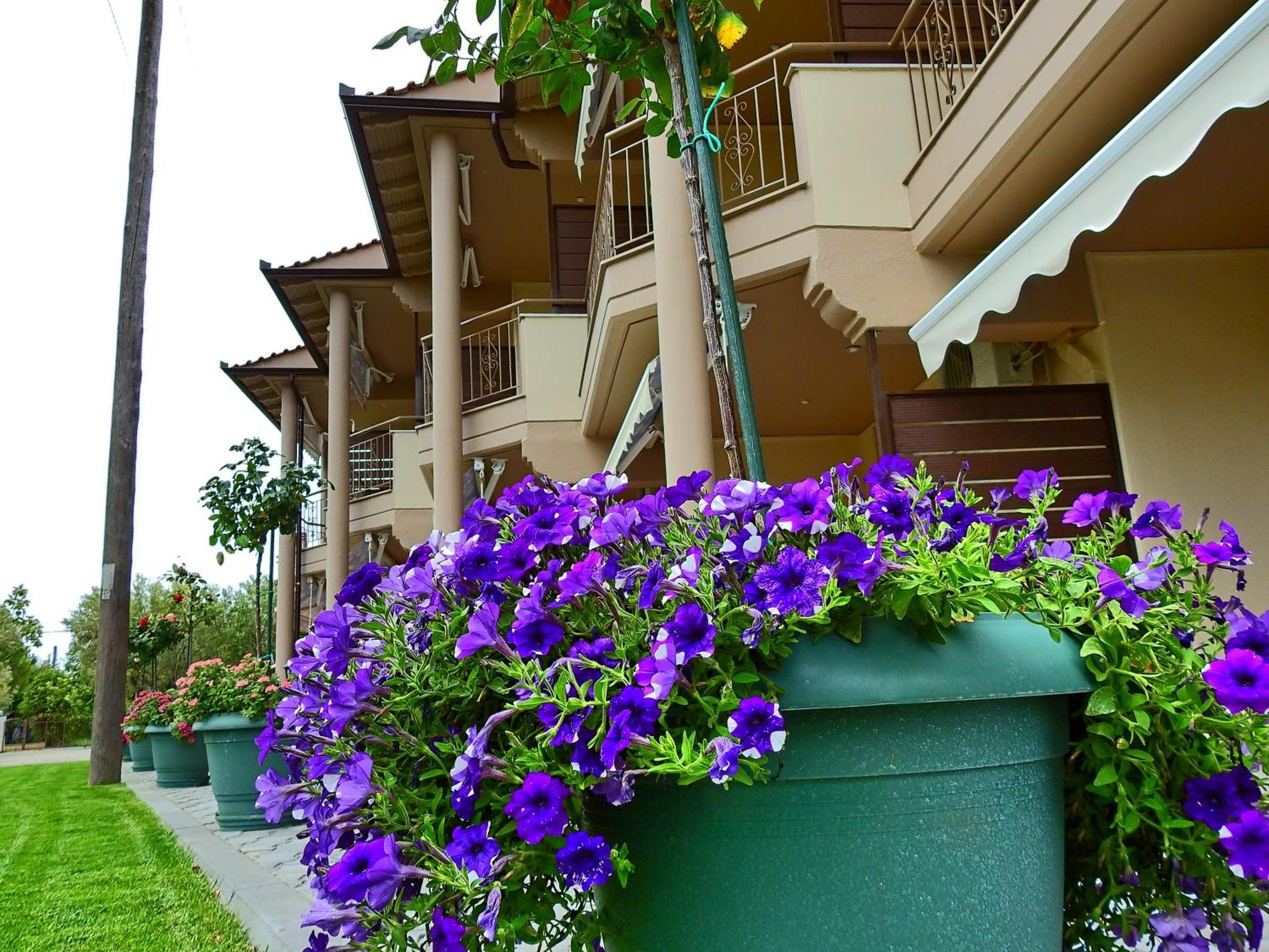 Mente Libre Villas Nea Plagia Exterior photo